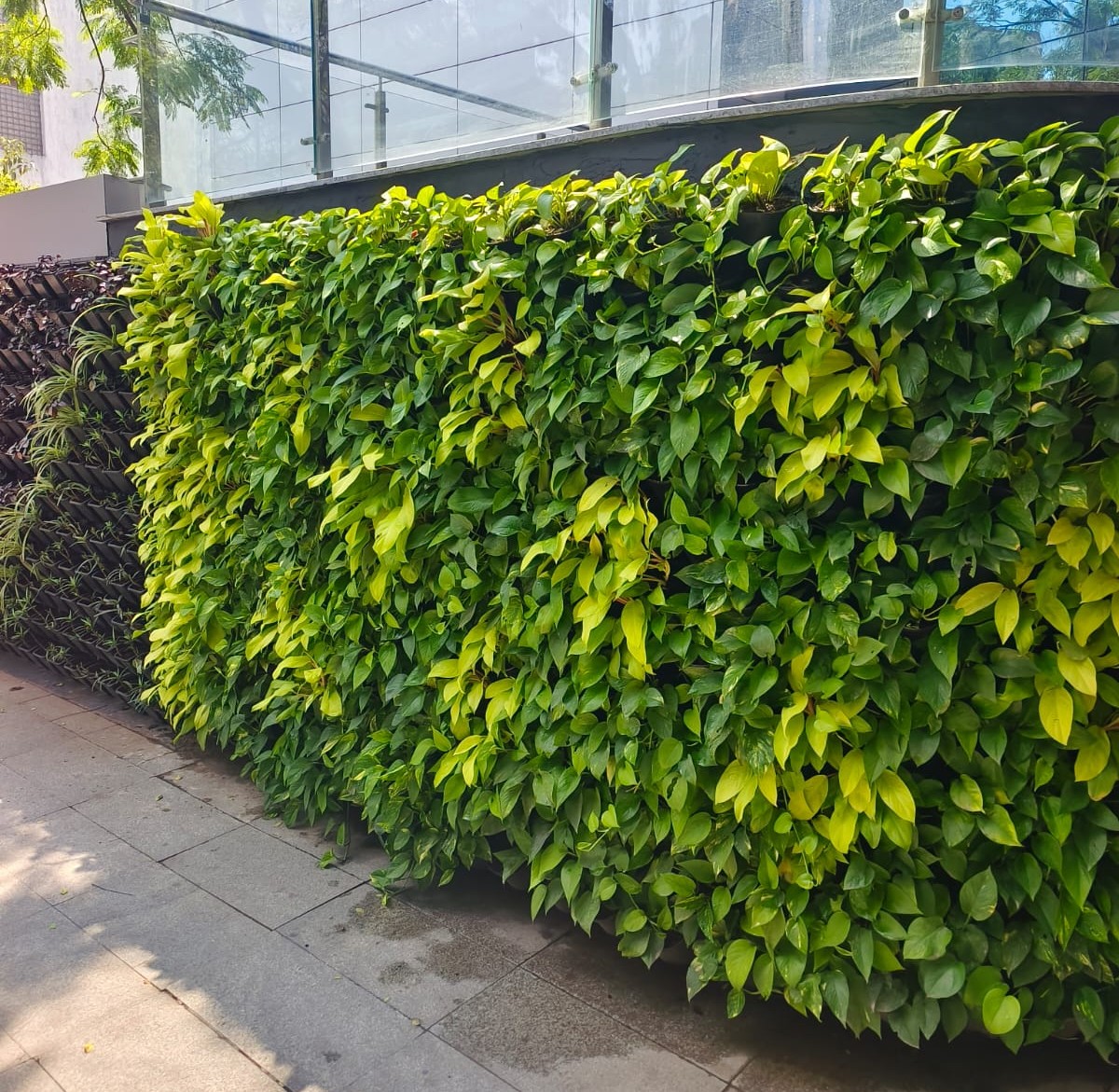 Green Wall 3